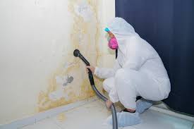 Best Residential Mold Inspection & Testing  in Northvale, NJ